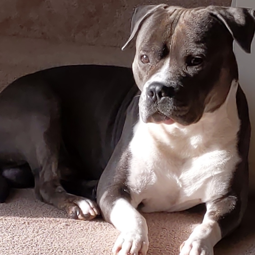 Meet your Posher, Gloria